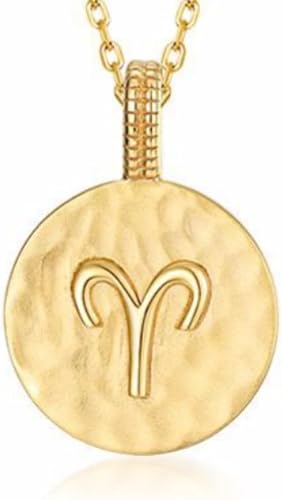 JZWCHQ Halskette Silber Halskette, Tierkreiszeichen Damen Symbole Golleround Anhänger Choker Constellatiosymbol Schmuck für Mädchen Geburtstag Geschenk JZWCHQ Halskette Silber Halskette, Tierkreiszeichen Damen Symbole Golleround Anhänger Choker Constellatiosymbol Schmuck für Mädchen Geburtstag Geschenk von JZWCHQ