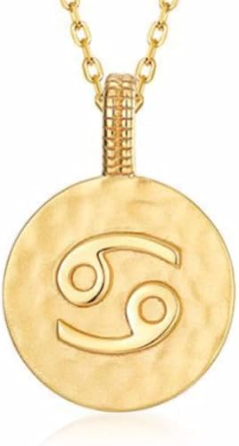 JZWCHQ Halskette Silber Halskette, Tierkreiszeichen Damen Symbole Golleround Anhänger Choker Constellatiosymbol Schmuck für Mädchen Geburtstag Geschenk JZWCHQ Halskette Silber Halskette, Tierkreiszeichen Damen Symbole Golleround Anhänger Choker Constellatiosymbol Schmuck für Mädchen Geburtstag Geschenk von JZWCHQ
