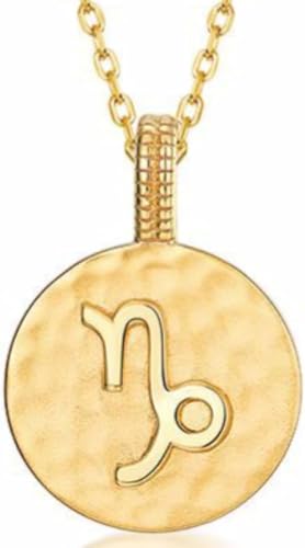 JZWCHQ Halskette Silber Halskette, Tierkreiszeichen Damen Symbole Golleround Anhänger Choker Constellatiosymbol Schmuck für Mädchen Geburtstag Geschenk JZWCHQ Halskette Silber Halskette, Tierkreiszeichen Damen Symbole Golleround Anhänger Choker Constellatiosymbol Schmuck für Mädchen Geburtstag Geschenk von JZWCHQ