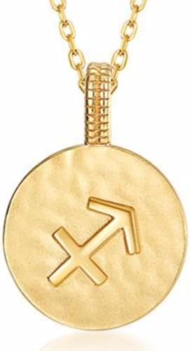 JZWCHQ Halskette Silber Halskette, Tierkreiszeichen Damen Symbole Golleround Anhänger Choker Constellatiosymbol Schmuck für Mädchen Geburtstag Geschenk JZWCHQ Halskette Silber Halskette, Tierkreiszeichen Damen Symbole Golleround Anhänger Choker Constellatiosymbol Schmuck für Mädchen Geburtstag Geschenk von JZWCHQ