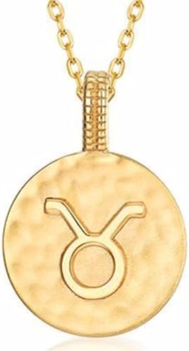JZWCHQ Halskette Silber Halskette, Tierkreiszeichen Damen Symbole Golleround Anhänger Choker Constellatiosymbol Schmuck für Mädchen Geburtstag Geschenk JZWCHQ Halskette Silber Halskette, Tierkreiszeichen Damen Symbole Golleround Anhänger Choker Constellatiosymbol Schmuck für Mädchen Geburtstag Geschenk von JZWCHQ