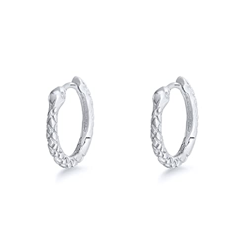 JZWCHQ Hoop Ohrringe für Frauen Zirkon Ohrringstil Farbohrschnalle Schmuck Pendientes JZWCHQ Hoop Ohrringe für Frauen Zirkon Ohrringstil Farbohrschnalle Schmuck Pendientes von JZWCHQ