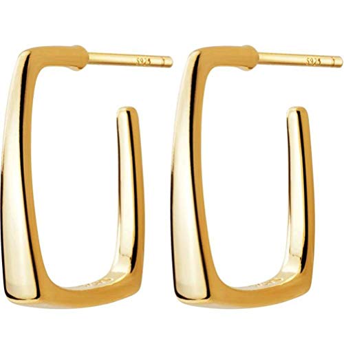 JZWCHQ Ohrringe für Frauen, S925 Ohrringe weiblicher koreanischer Stil einfach von JZWCHQ