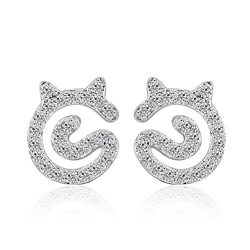 Ohrringe für Frauen, ausgefallene Katzenohrringe Ohrschmuck Frauen, Tablett, von JZWCHQ