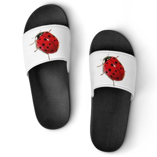 JZemdybill Duschpantoffeln Marienkäfer Süße Sliders für Damen und Herren rutschfeste Slides, Black Style, 38 2/3 EU von JZemdybill