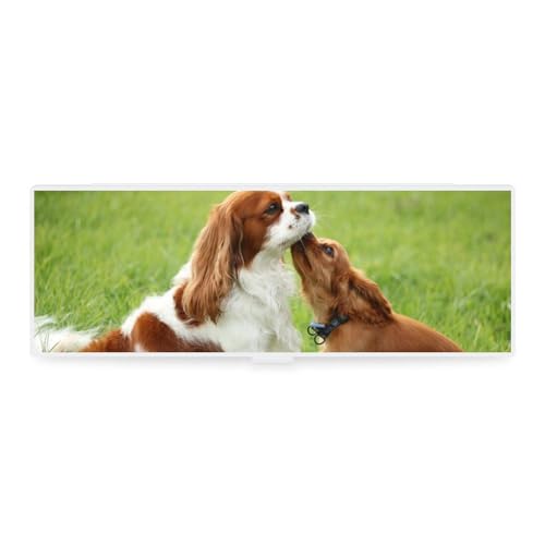 JZemdybill Federmäppchen, Cavalier King Charles Spaniel, kreative einfache Schreibwaren-Box, 19,5 x 6,8 x 3 cm, Stil:, Einheitsgröße, Federmäppchen von JZemdybill