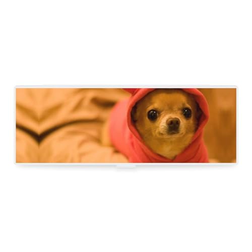 JZemdybill Federmäppchen, Chihuahua, kreative einfache Schreibwaren-Box, 19,5 x 6,8 x 3 cm, Stil:, Einheitsgröße, Federmäppchen von JZemdybill