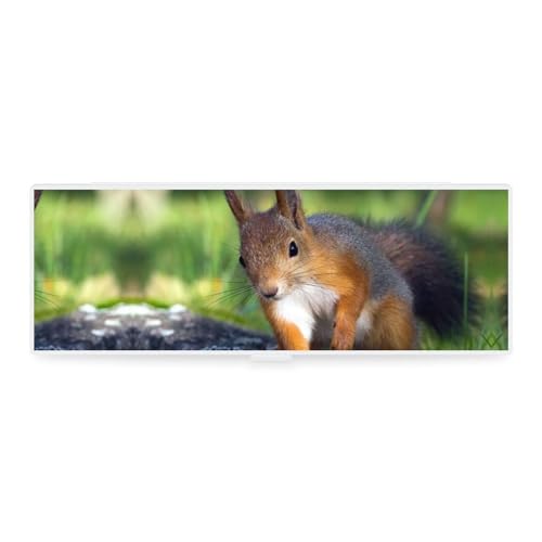 JZemdybill Federmäppchen, niedliches Eichhörnchen, kreative einfache Schreibwaren-Box, 19,5 x 6,8 x 3 cm, Stil:, Einheitsgröße, Federmäppchen von JZemdybill