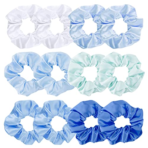 12 Stück elastische Band Haargummis Blau Satin Scrunchy elastische Haargummis Jaciya Haargummis Pferdeschwanz Halter Haarschmuck für Frauen Mädchen 12 Stück elastische Band Haargummis Blau Satin Scrunchy elastische Haargummis Jaciya Haargummis Pferdeschwanz Halter Haarschmuck für Frauen Mädchen von Jaciya
