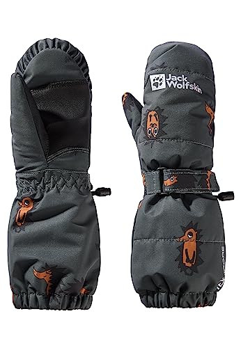 Jack Wolfskin GLEELY 2L INS MITTEN K slate green allover 92 von Jack Wolfskin