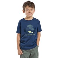 Jack Wolfskin Graphic Cotton T-Shirt Kids T-Shirt aus Bio-Baumwolle Kinder 140 multi color PRINT evening sky von Jack Wolfskin