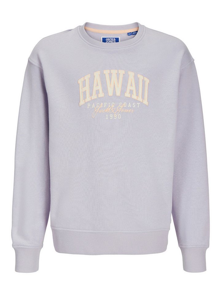 Jack & Jones Junior Sweatshirt JJDETROIT SWEAT CREW NECK JNR von Jack & Jones Junior