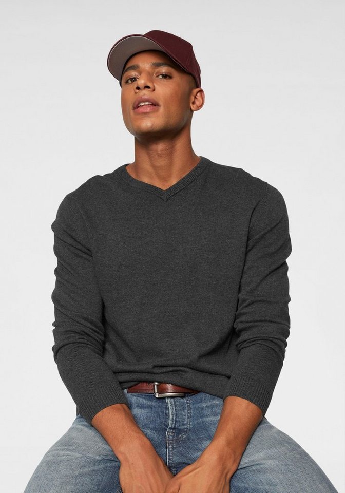 Jack & Jones V-Ausschnitt-Pullover JJEBASIC KNIT V-NECK von Jack & Jones