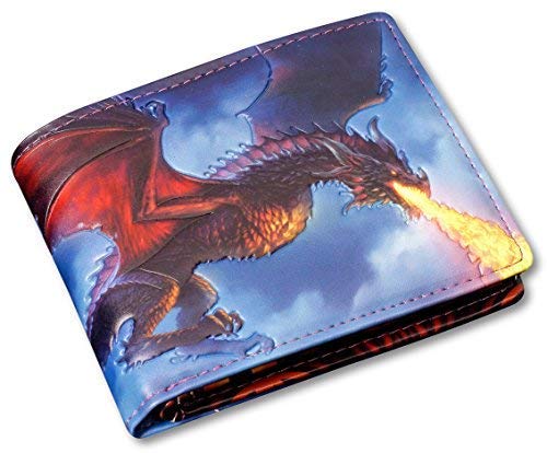 Herren Gothic-Geldbörse mit Drache - Fire from The Sky - geprägt | Fantasy-Geldbeutel, Mehrfarbig Herren Gothic-Geldbörse mit Drache - Fire from The Sky - geprägt | Fantasy-Geldbeutel, Mehrfarbig von James Ryman
