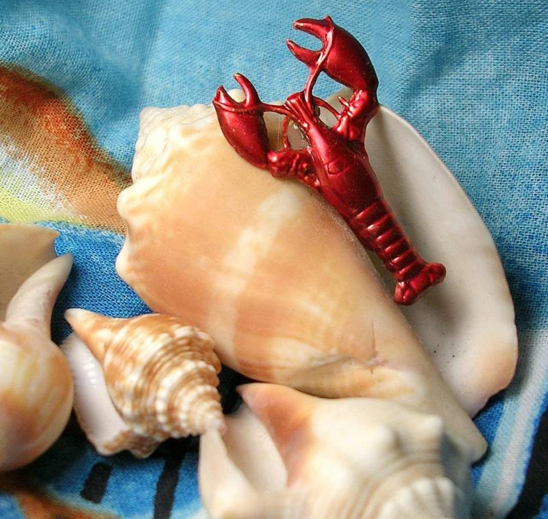 Maine Hummer Anstecknadel. Handbemalt von JanHallDesigns