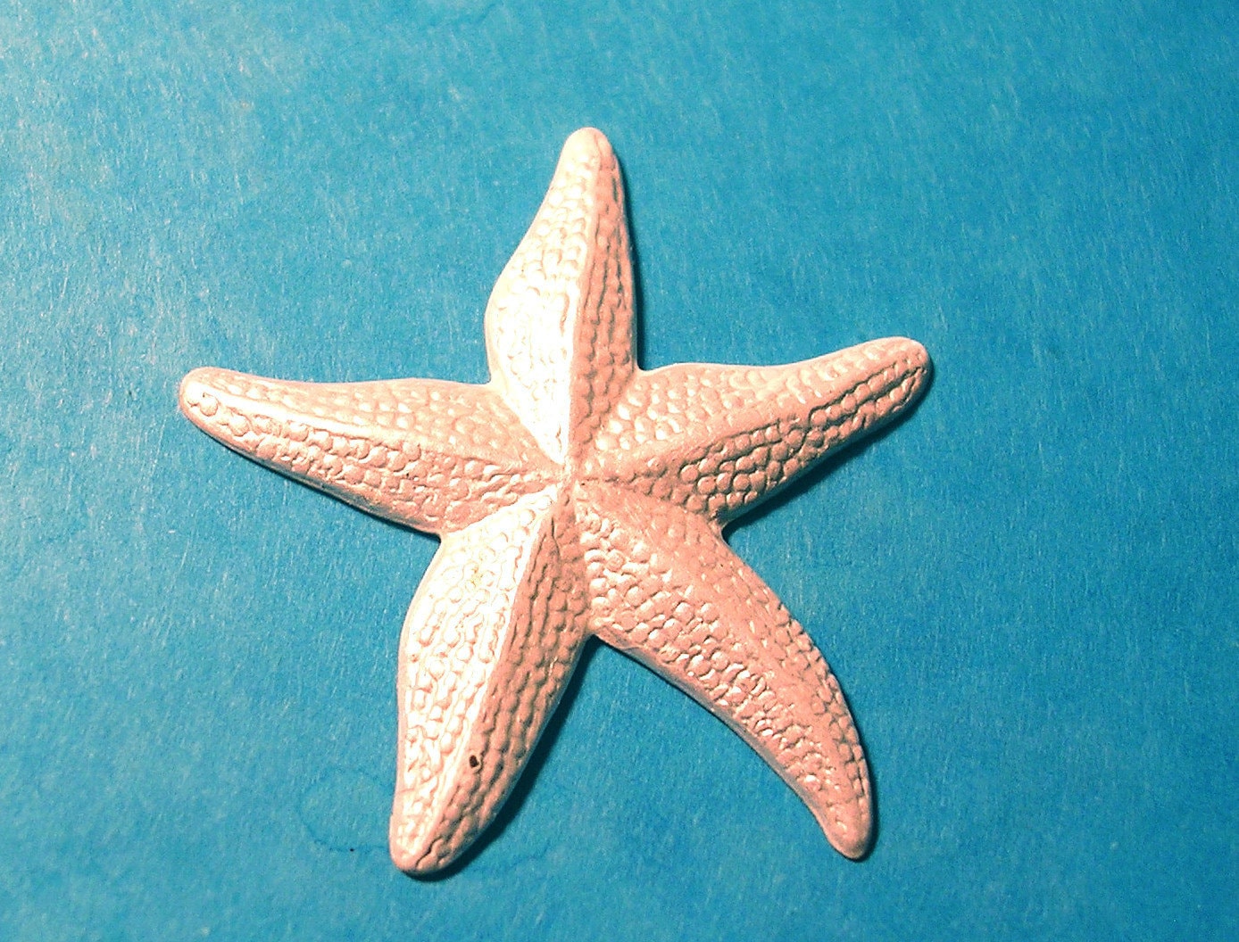 Seestern Pin. Für Strandliebhaber. Handbemalt in Perlglanz-Weiss von JanHallDesigns