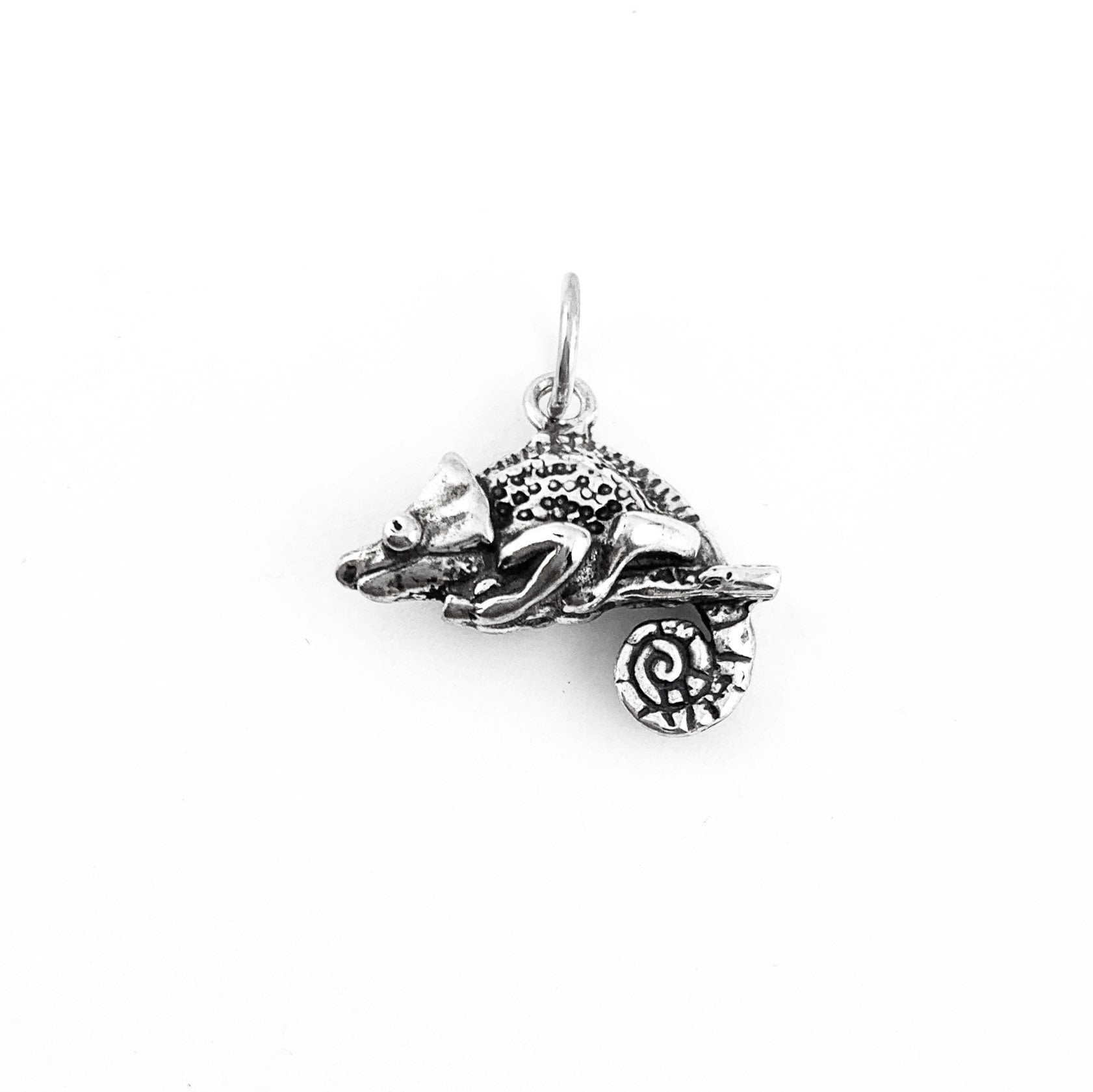 Chamäleon Charm in Sterling Silber, 3D Anhänger Eidechse Reptil Tier Chamäleon Charm in Sterling Silber, 3D Anhänger Eidechse Reptil Tier von JanPalomboDesign