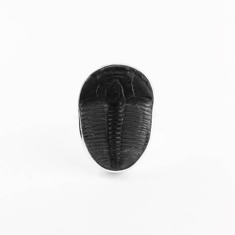 Elrathia Kingi Trilobit Fossilien Ring Sterling Silber, Handgemacht von JanPalomboDesign