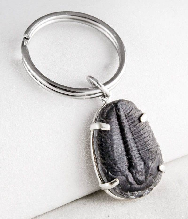 Elrathia Trilobit Fossil Schlüsselanhänger Sterling Silber, Utah von JanPalomboDesign