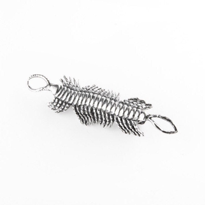 Tausendfüßler Sterling Silber Pin, Tier Schmuck, Brosche von JanPalomboDesign