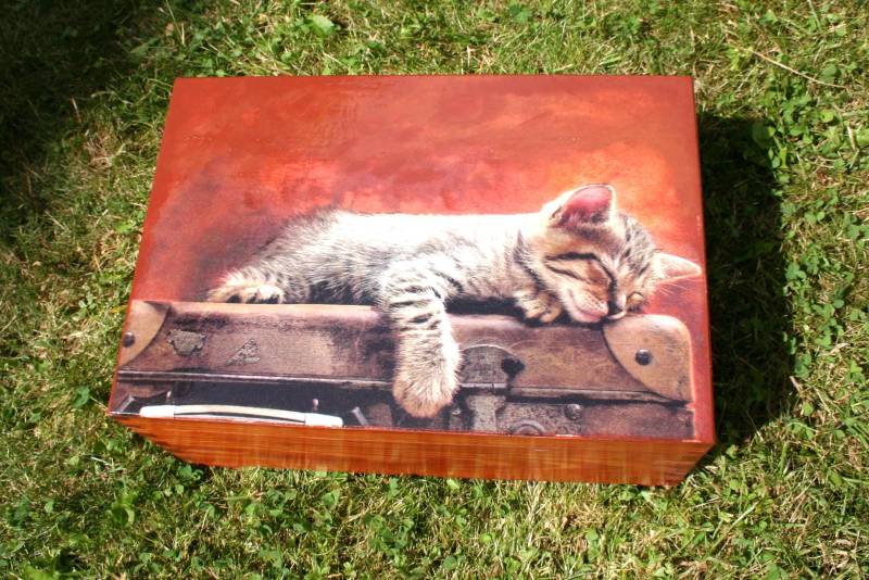 Schmuckkästchen Mit Katze, Nähkästchen, Schmuckkästchen, Schmuckschatulle Herausnehmbaren Trennwänden, Geschenk Für Katzenliebhaber Schmuckkästchen Mit Katze, Nähkästchen, Schmuckkästchen, Schmuckschatulle Herausnehmbaren Trennwänden, Geschenk Für Katzenliebhaber von JanaPysanky