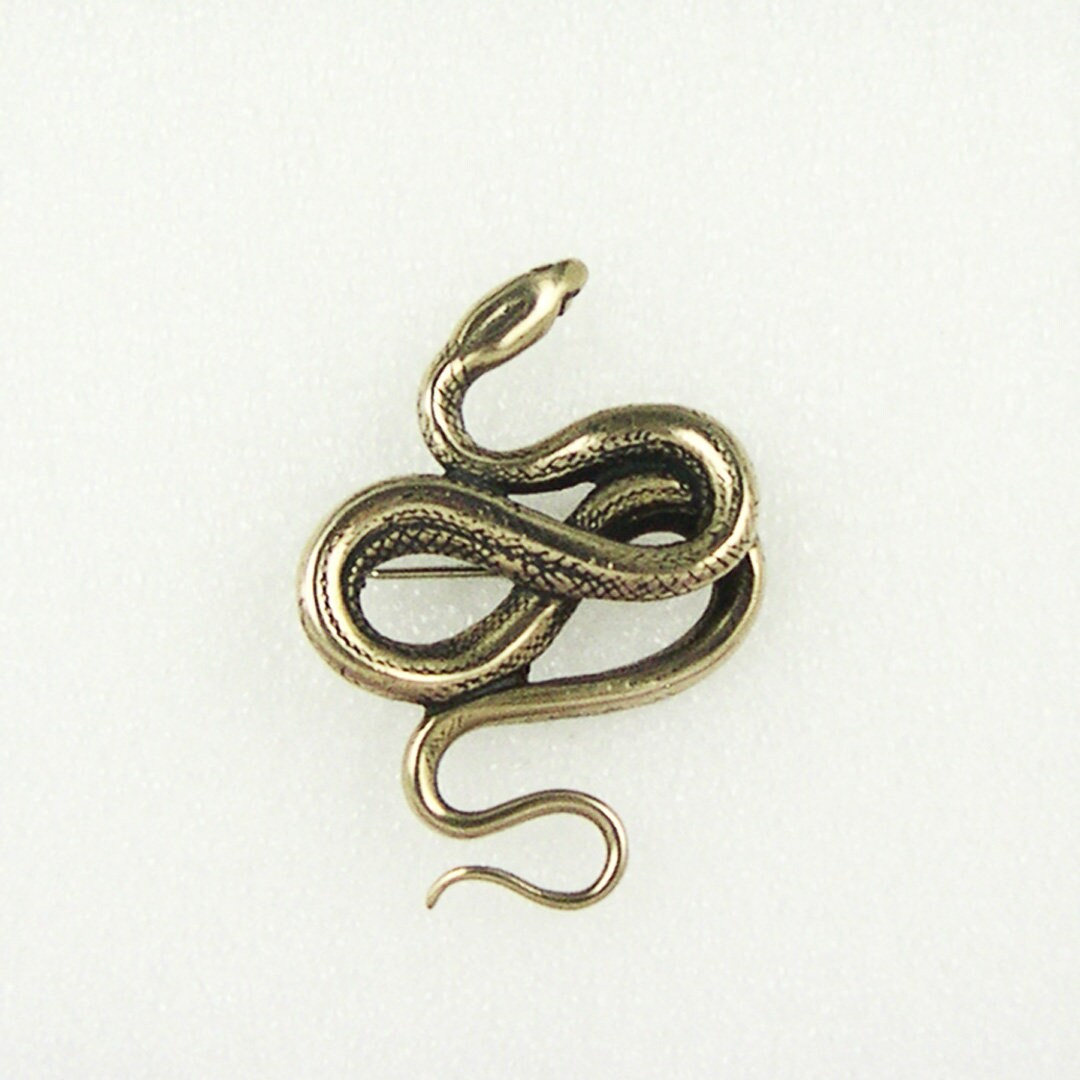 Serpent Pin-Bronze von JaneIrisDesigns