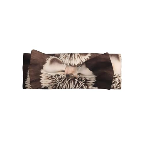 JaoXer Baby Igel Baby Schleife Stirnband - Weiche Schleife Haarschmuck für Baby, Neugeborene, Säuglinge, Kleinkinder und Kinder JaoXer Baby Igel Baby Schleife Stirnband - Weiche Schleife Haarschmuck für Baby, Neugeborene, Säuglinge, Kleinkinder und Kinder von JaoXer