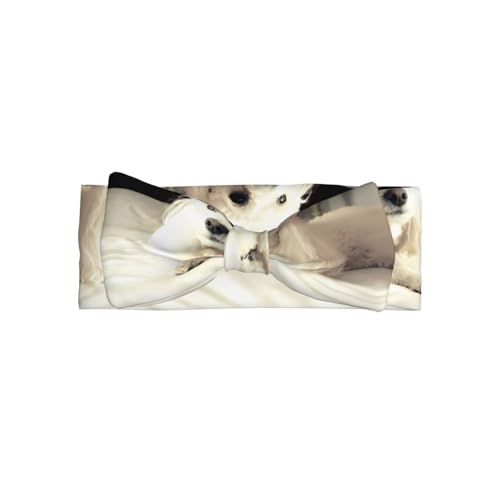 JaoXer Französischer Pudel Baby Schleife Stirnband - Weiche Schleife Haarschmuck für Baby, Neugeborene, Säuglinge, Kleinkinder und Kinder JaoXer Französischer Pudel Baby Schleife Stirnband - Weiche Schleife Haarschmuck für Baby, Neugeborene, Säuglinge, Kleinkinder und Kinder von JaoXer