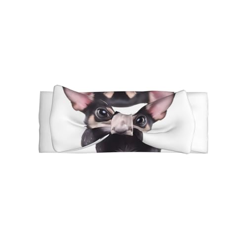 JaoXer Niedliches Chihuahua-Baby-Schleifen-Stirnband, weiche Schleife, Haarschmuck für Babys, Neugeborene, Säuglinge, Kleinkinder und Kinder JaoXer Niedliches Chihuahua-Baby-Schleifen-Stirnband, weiche Schleife, Haarschmuck für Babys, Neugeborene, Säuglinge, Kleinkinder und Kinder von JaoXer
