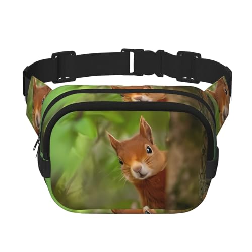 Squirrel Square Double Layer Hüfttasche Gürtel – Unisex Everywhere Bauchtasche Geldbörse mit verstellbarem Gurt, Laufen, Reisen, Schwarz, Einheitsgröße von JaoXer