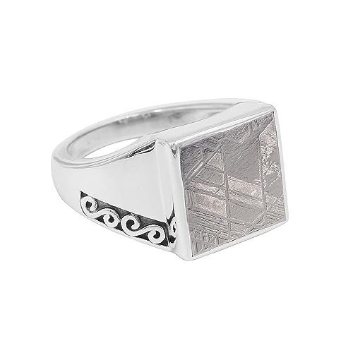 Jay Jools Meteorit Ring Massiv Sterling Silber Ring Unisex Ring Meteorit Statement Ring, Edelstein Metall, Meteorit von Jay Jools