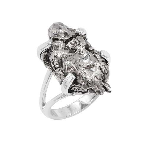 Jay Jools Meteorit-Ring-Schmuck, echter roher Campo Del Cielo Meteorit-Ring aus 925er Sterlingsilber für Frauen, Mädchen und Männer, US 5 von Jay Jools