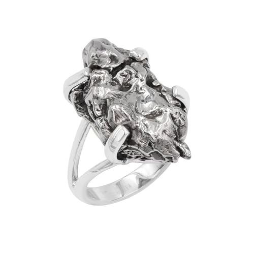 Jay Jools Meteorit-Ring-Schmuck, echter roher Campo Del Cielo Meteorit-Ring aus 925er Sterlingsilber für Frauen, Mädchen und Männer, US 9 von Jay Jools