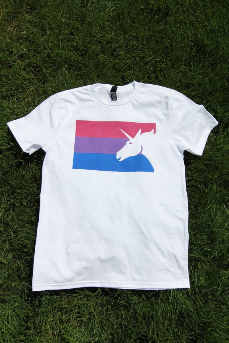 Bisexuelle Stolz Flagge T-Shirt Retro Farben - Lgbt Bewusstsein Tshirt Bi Rosa Lila Blau Bipride von JayneBShea