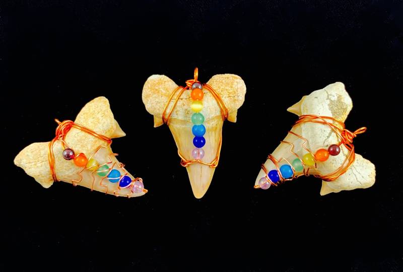 Haifischzahn Chakra Anhänger von JenzersGems
