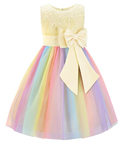 JerrisApparel Prinzessin Blume Kleid Mädchen Festliche Hochzeit Tüll Kleid (3 Jahre, Beige) von JerrisApparel