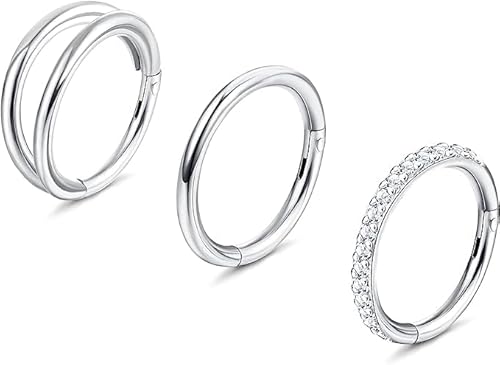 JeryWe 16G G23 Titan Nase Ringe Hoops für Frauen Männer hypoallergen CZ Clicker Conch Hoop Ohrringe Scharnier Segment Septum Lip Helix Knorpel Conch Nase Piercing Schmuck 8mm 10mm von JeryWe