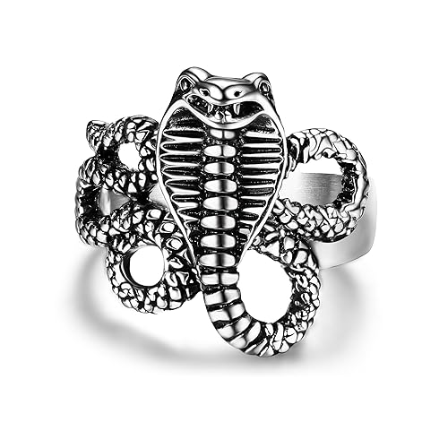 JeryWe Gothic Punk Edelstahl Ring für Herren Männer Damen Schlangenring Bandring Retro Statement Fingerring für Halloween Weihnachten Y2K Zubehör Silber schwarz Größe 65 von JeryWe