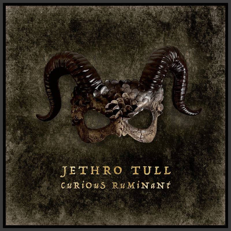 Jethro Tull Curious Ruminant CD multicolor von Jethro Tull