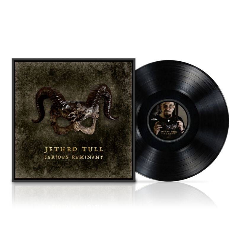 Jethro Tull Curious Ruminant LP multicolor von Jethro Tull