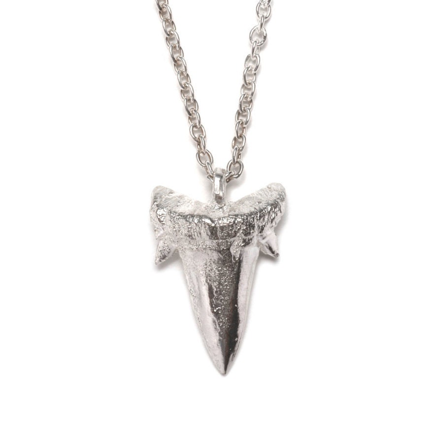 Kleine Haifischzahn-Halskette Kleine Haifischzahn-Halskette von JewelleryByMeganMoss