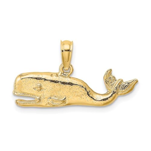 JewelryWeb 23 mm 14 Karat Gold Wal/2D strukturierter Charm-Anhänger Halskette für Damen von JewelryWeb