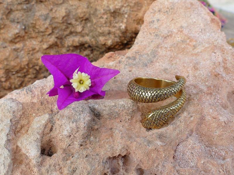 Kobra-Ring/Ring in Rechnung Gestellt Kobra-Ring/Ring in Rechnung Gestellt von JewelsChandra