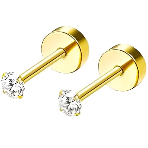 Edelstahl 2 mm Zirkon Ohrstecker 1 Paar Gold Ohrringe Helix Gesundheitsstecker Hypoallergene Flach Damenohrringe Ohr Schmuck Flatback Stud Earrings Jewelry für Damen Frauen von Jewlure