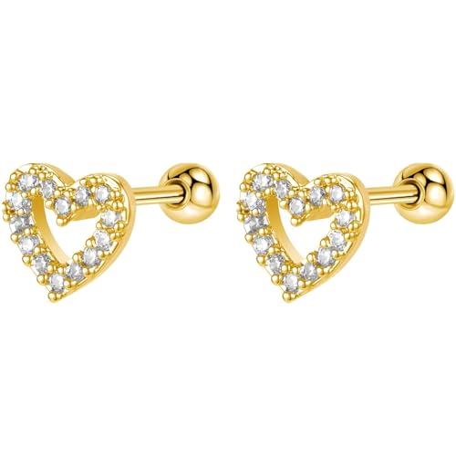 Edelstahl Hohles Herz Ohrringe 1 Paar Gold Helix Ohrstecker Gesundheitsstecker Hypoallergene Damenohrringe Ohr Schmuck Screwback Stud Earrings Jewelry für Damen Frauen Herren von Jewlure