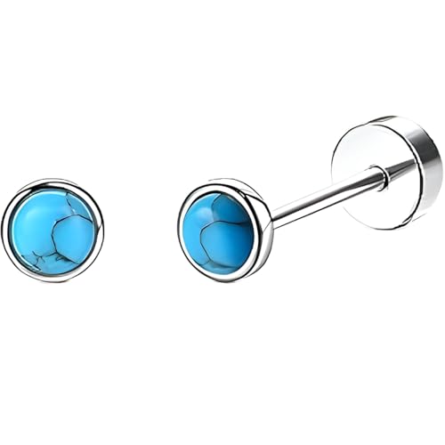 Edelstahl Türkis Ohrstecker 1 Paar Silber Ohrringe Helix Gesundheitsstecker Hypoallergene Flach Damenohrringe Ohr Schmuck Flatback Stud Earrings Jewelry für Damen Frauen von Jewlure