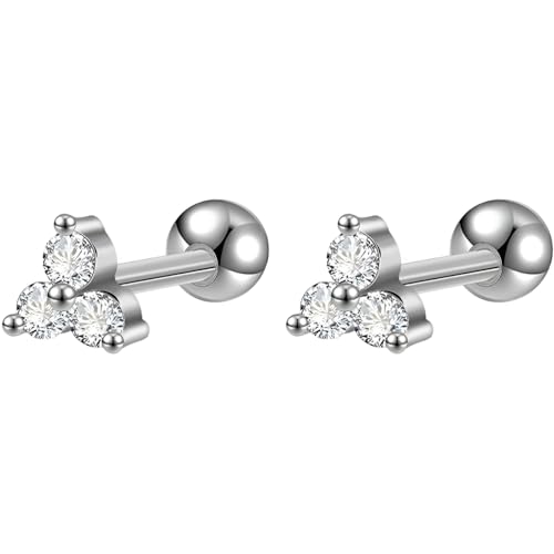 Edelstahl Zirkon Edelstein Ohrringe 1 Paar Silber Helix Ohrstecker Gesundheitsstecker Damenohrringe Ohr Hypoallergene Schmuck Screwback Stud Earrings Jewelry für Damen Frauen Herren von Jewlure