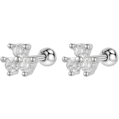 Edelstahl Zirkon Ohrringe 1 Paar Silber Helix Ohrstecker Gesundheitsstecker Hypoallergene Damenohrringe Ohr Schmuck Screwback Stud Earrings Jewelry für Damen Frauen Herren von Jewlure