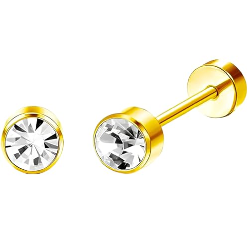 Edelstahl Zirkon Zylinder Ohrstecker 1 Paar Gold Ohrringe Helix Gesundheitsstecker Hypoallergene Flach Damenohrringe Ohr Schmuck Flatback Stud Earrings Jewelry für Damen Frauen von Jewlure