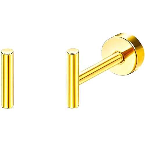 Edelstahl Zylinder Ohrstecker 1 Paar Gold Klein Ohrringe Hypoallergene Helix Flach Ohr Schmuck Damenohrringe Flatback Stud Earrings Jewelry für Frauen Damen Herren von Jewlure